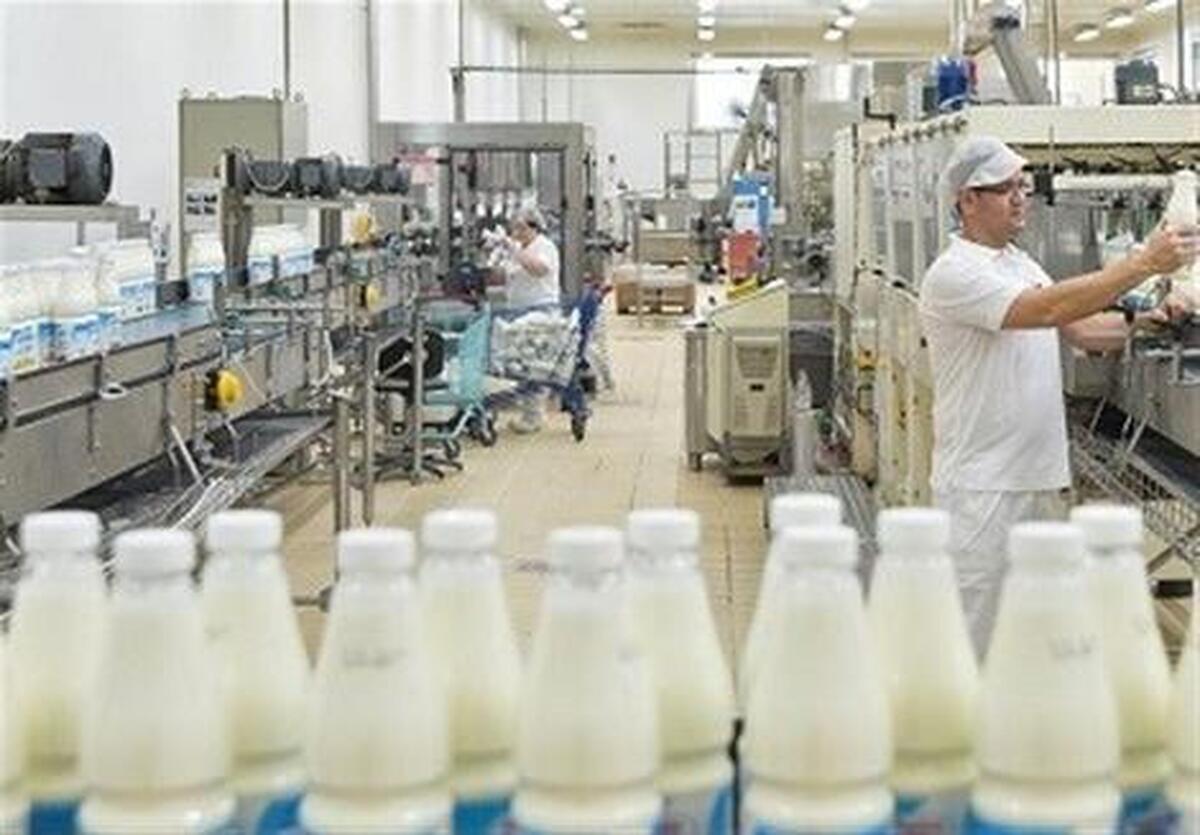 افزایش صادرات شیر خشک از ایران به کشورهای همسایه