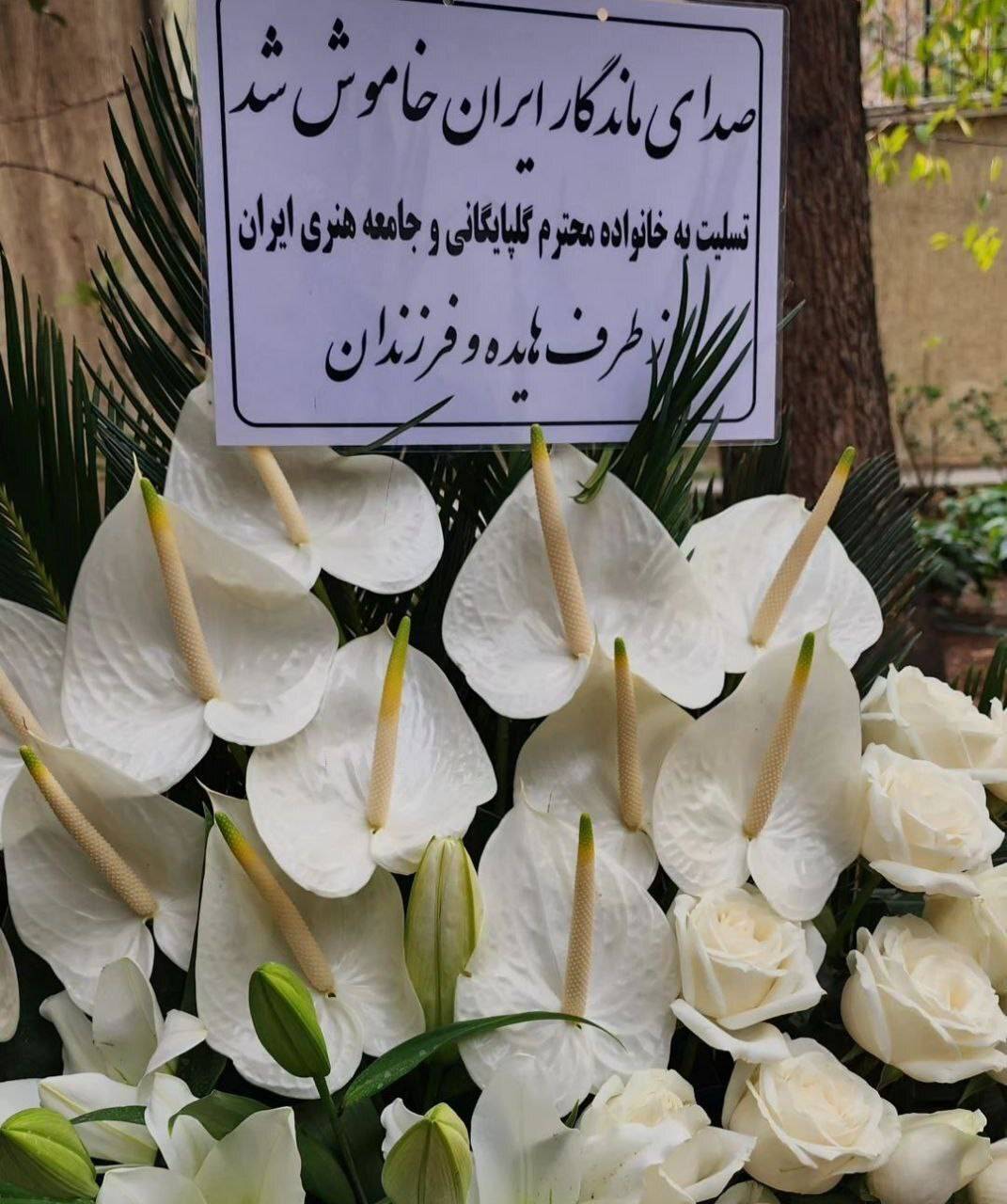 عکس | سوپرایز ویژه خانواده هایده و مهستی در منزل زنده یاد اکبر گلپا