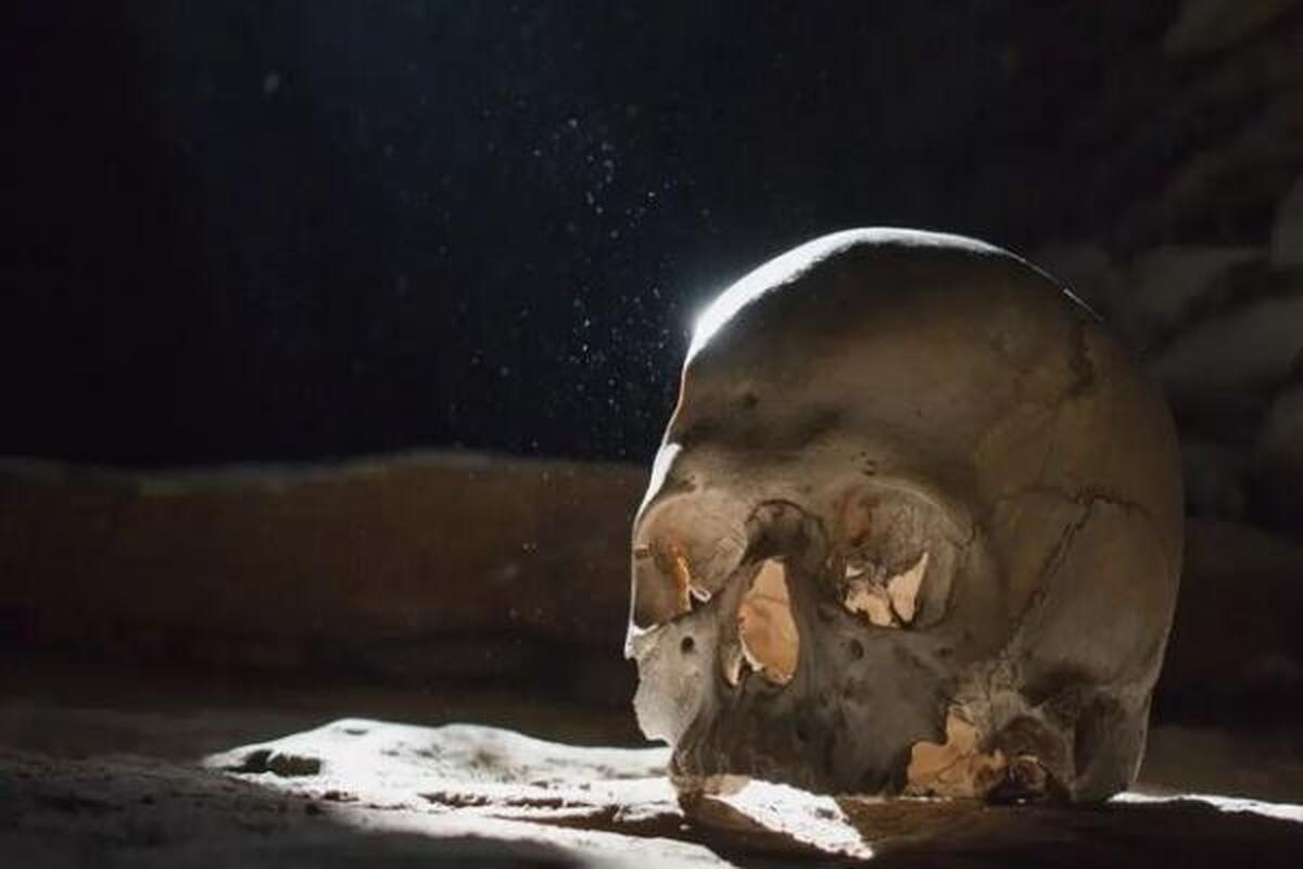عکس | کشف جمجمه جراحی شده در ۲۷۰۰ سال پیش