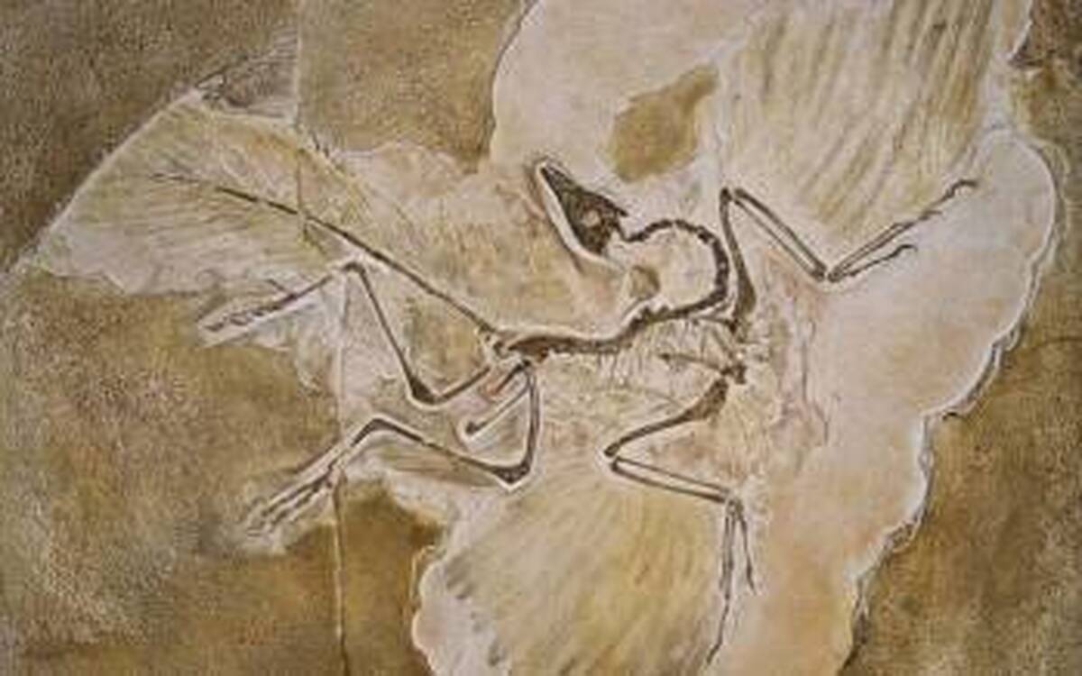 عکس | کشف آدم فضایی‌ها با کمک دایناسورها