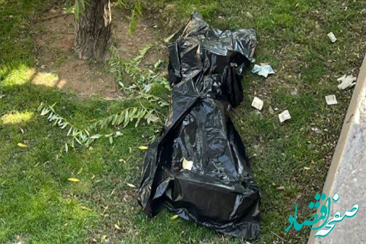 معمای رازآلود | پیداشدن بقایای یک جسد در کیسه زباله در پارک بنفشه
