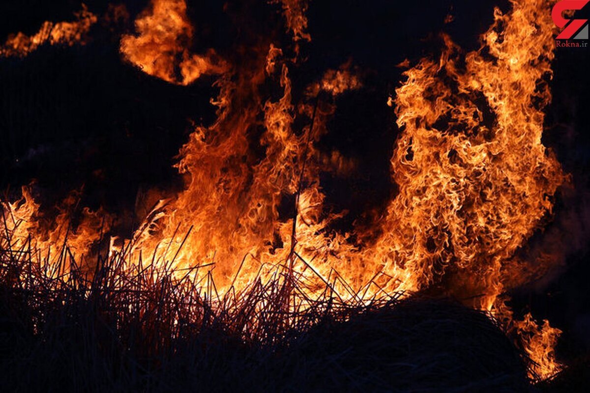آتش سوزی در جنگل‌های ۲ هزار تنکابن
