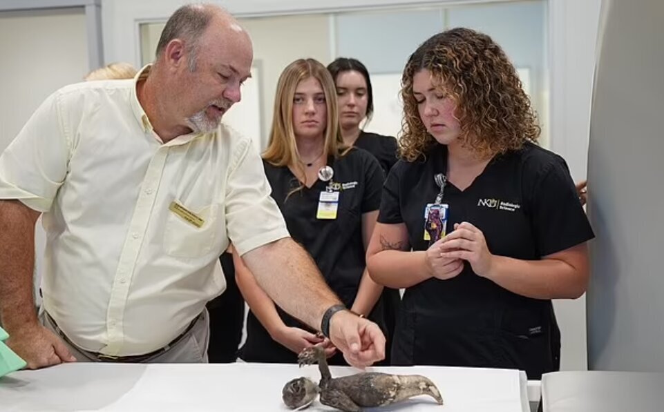 عکس | مومیایی ترسناک پری دریایی از دریچه‌ای متفاوت