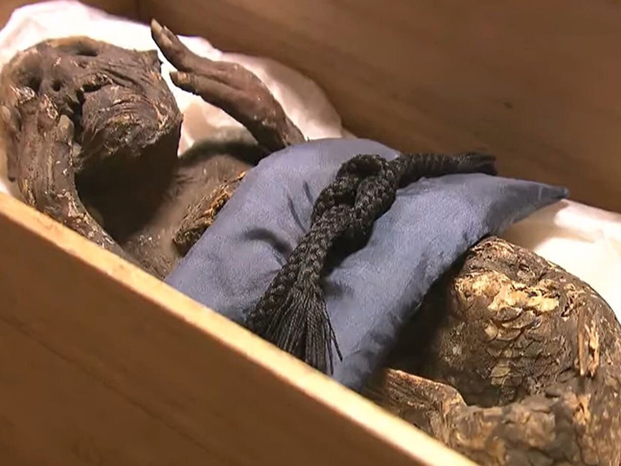 عکس | مومیایی ترسناک پری دریایی از دریچه‌ای متفاوت