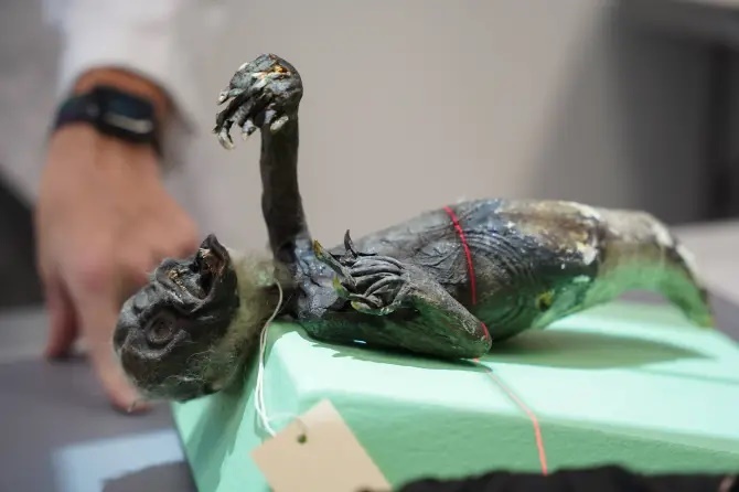 عکس | کشف یک موجود عجیب ترکیبی از ماهی، میمون و یک خزنده