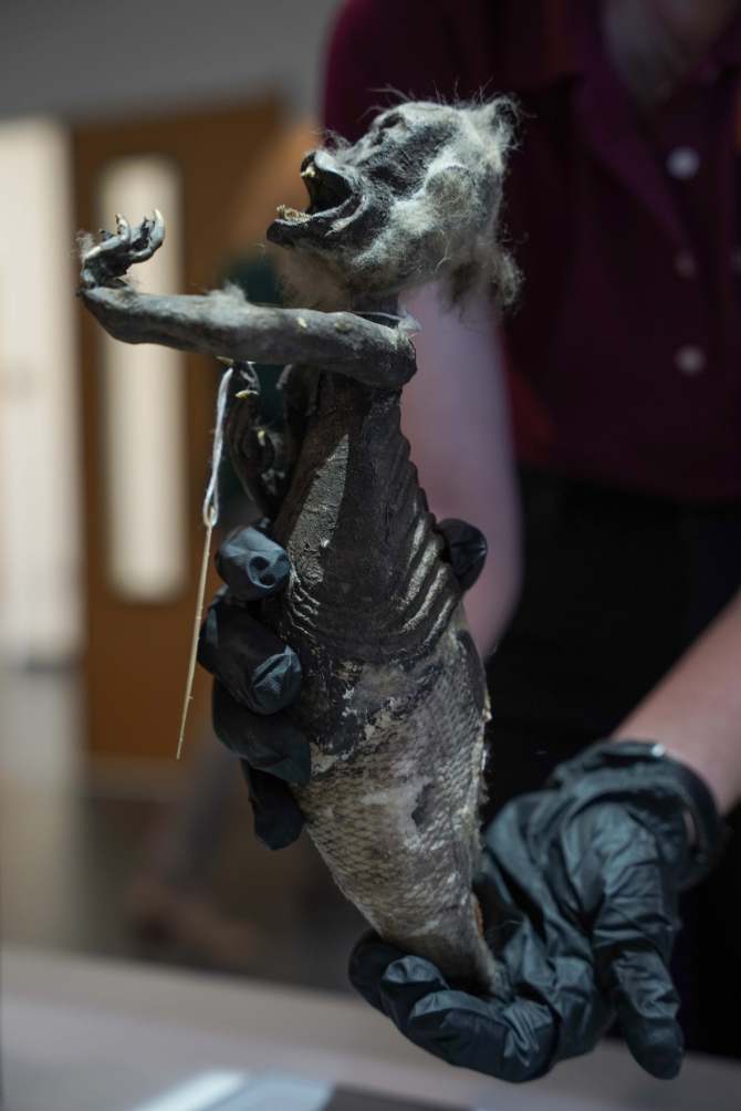 عکس | کشف یک موجود عجیب ترکیبی از ماهی، میمون و یک خزنده