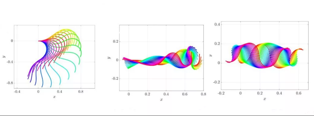 وقتی اسپرمها قانون سوم نیوتن را نقض میکنند وقتی اسپرمها قانون سوم نیوتن را نقض میکنند