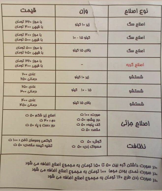 عکس | قیمت عجیب اصلاح موی سگ در تهران عکس | قیمت عجیب اصلاح موی سگ در تهران