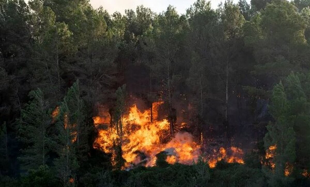 آتش‌سوزی چدین هکتار از جنگل‌های جیسا حوالی نمک آبرود