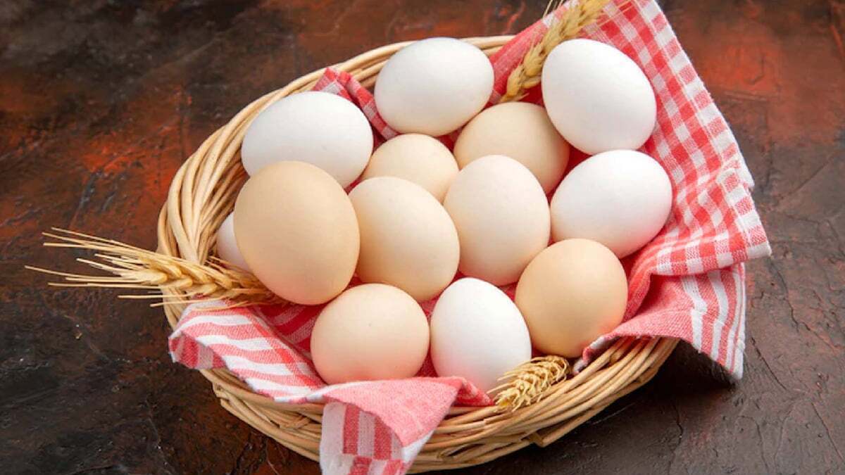 با مضرات مصرف زیاد تخم مرغ آشنا شوید