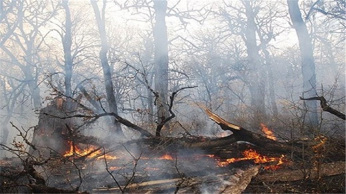 هشدار خطر آتش‌سوزی در این استان | گیلان گرم‌ترین استان کشور