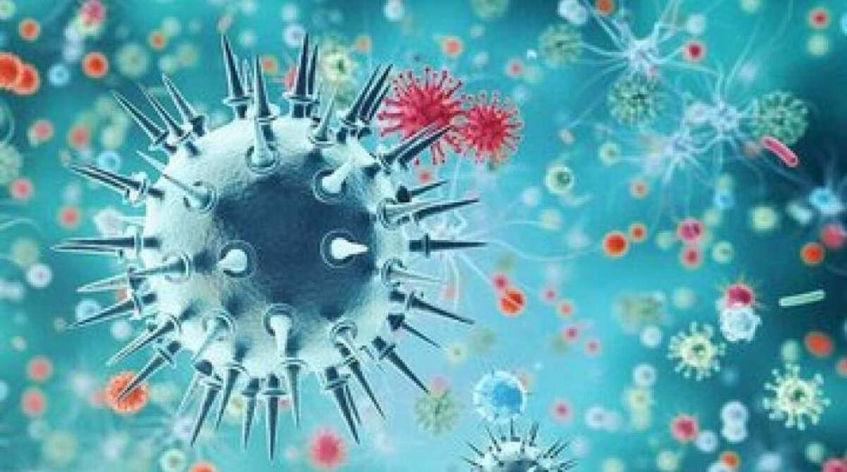 هشدار | اولین نمونه آنفولانزای خوکی در ایران شناسایی شد