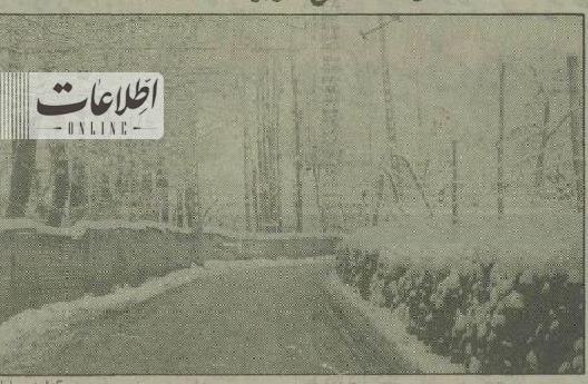 عکس | در اردبیل ۴۰ سانتیمتر برف نشست! عکس | در اردبیل ۴۰ سانتیمتر برف نشست!