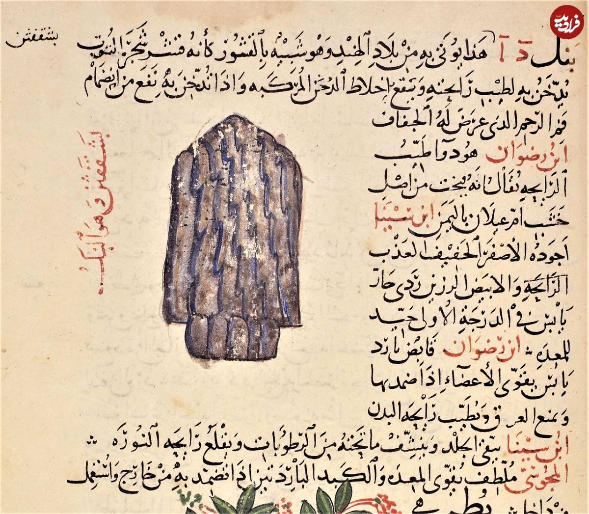 ابن سینا و زکریای رازی چه نظری دربارۀ «قهوه» داشتند؟