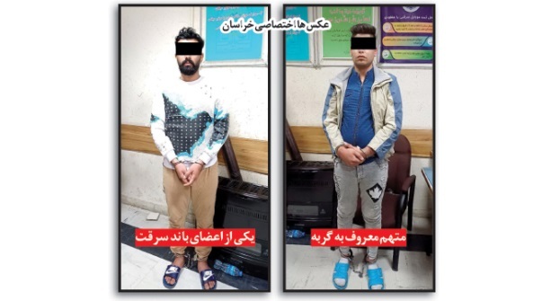 عکس | «گربه لیفانسوار» کیست و چرا در مشهد بازداشت شد ؟ عکس | «گربه لیفانسوار» کیست و چرا در مشهد بازداشت شد ؟