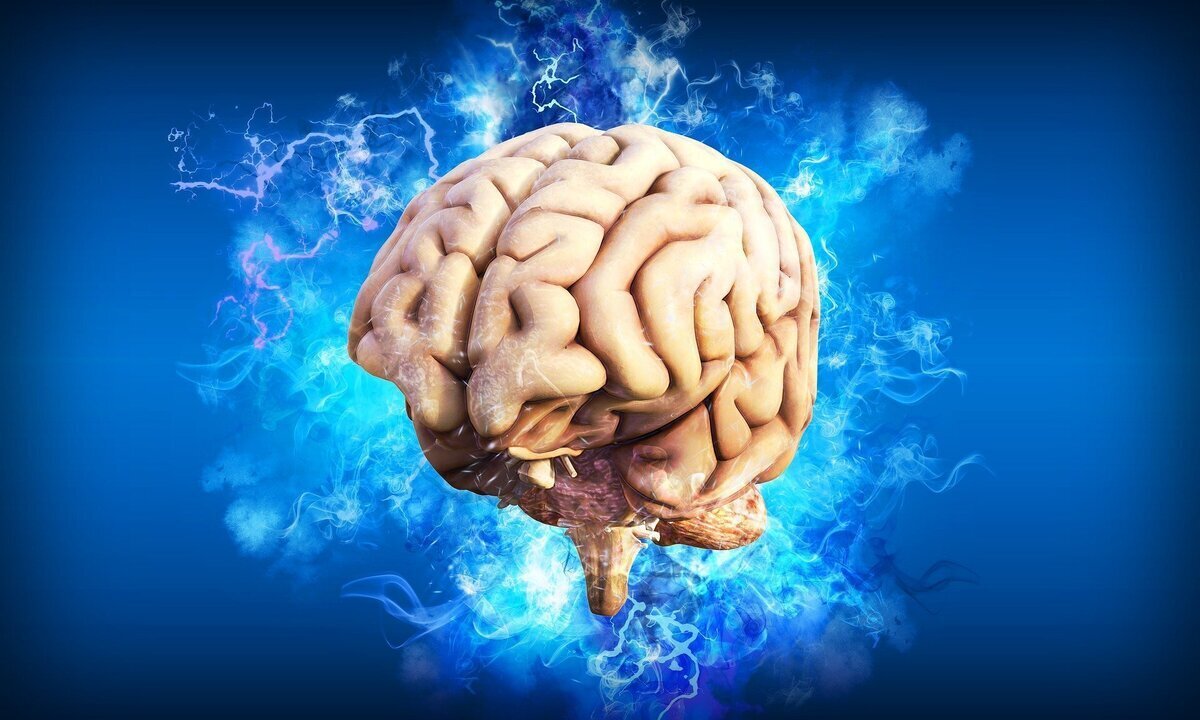 چالش‌های پیوند مغز چیست؟
