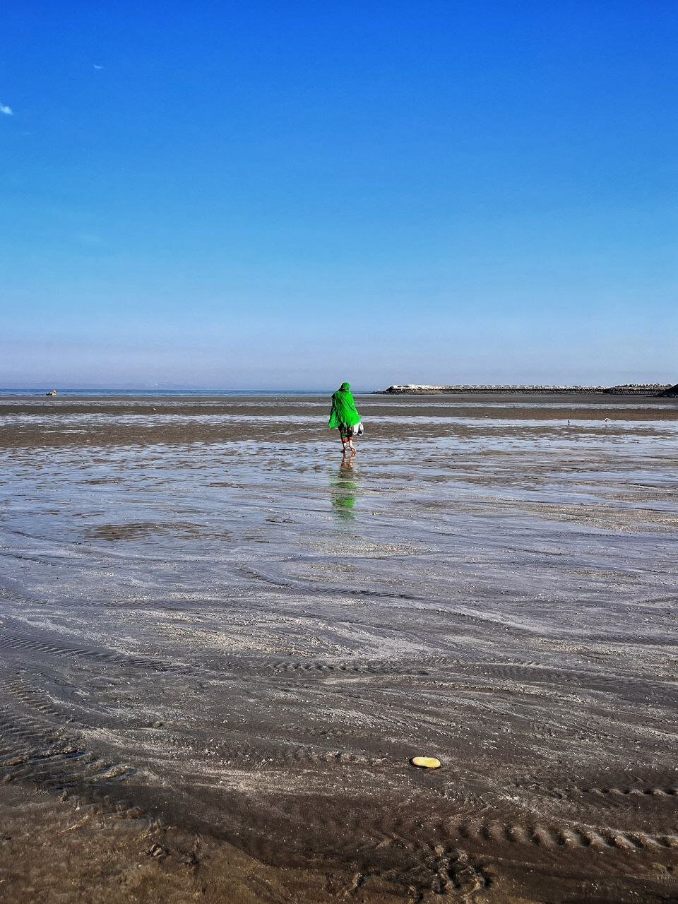 تصویری دردناک از آسیب رساندن به خلیج فارس