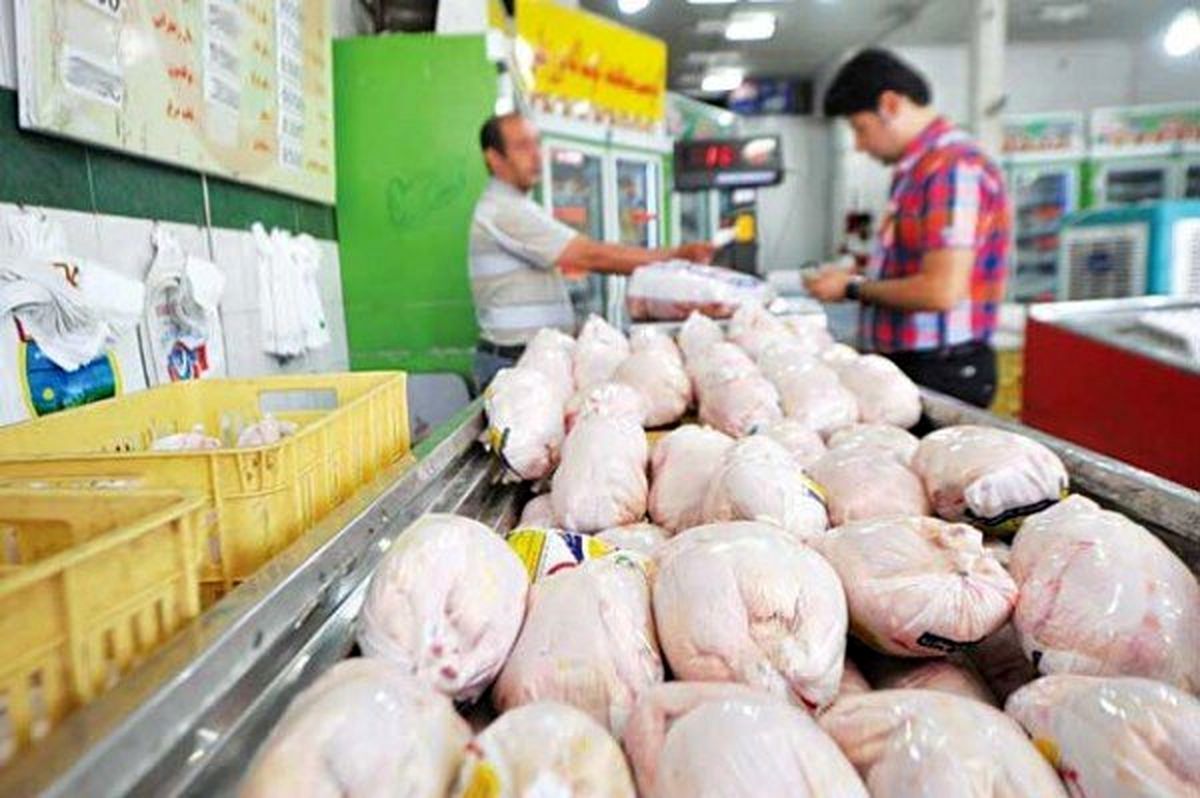 خبر فوری | قیمت جدید مرغ اعلام شد