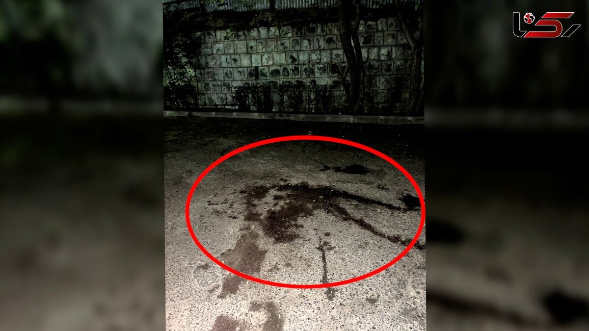 جزییات قتل هولناک دختر جوان با ضربات متعدد چاقو در تهران  + عکس صحنه جرم
