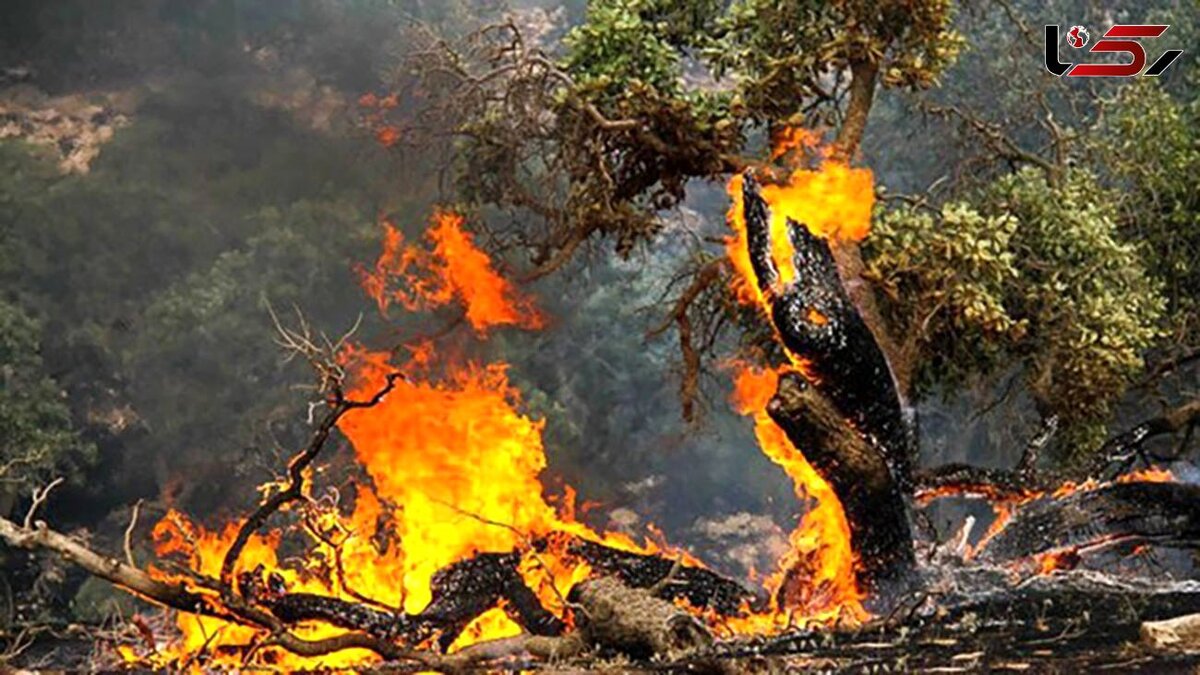 آتش‌سوزی در جنگل‌های مرزن‌آباد چالوس و گیر کردن نیروهای امدادی در ترافیک