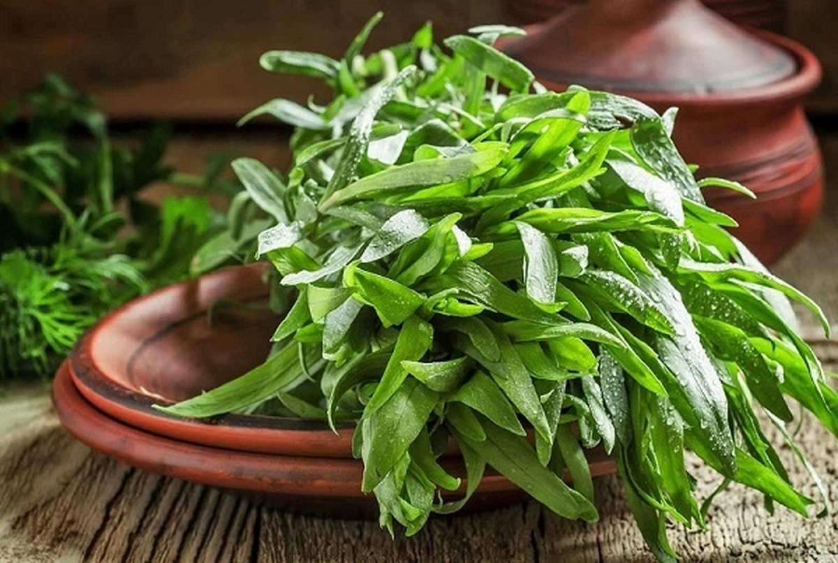 این سبزی را به جای نمک در غذا‌ها و سر سفره استفاده کنید
