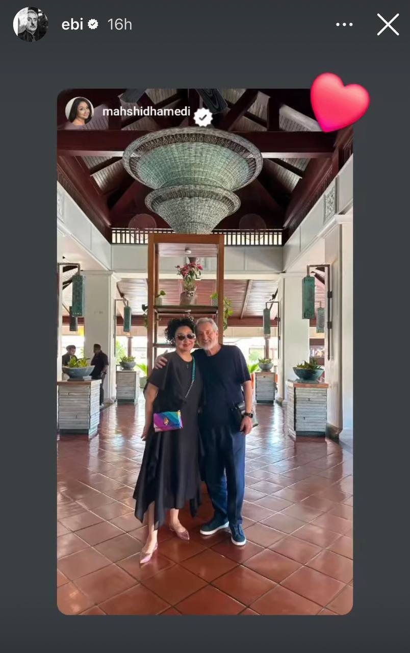 عکس | «ابی» جواب متلک گوگوش را با این استوری داد!