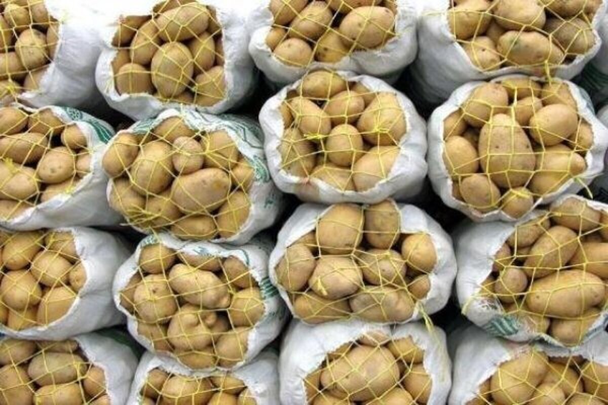 قیمت سیب زمینی اعلام شد