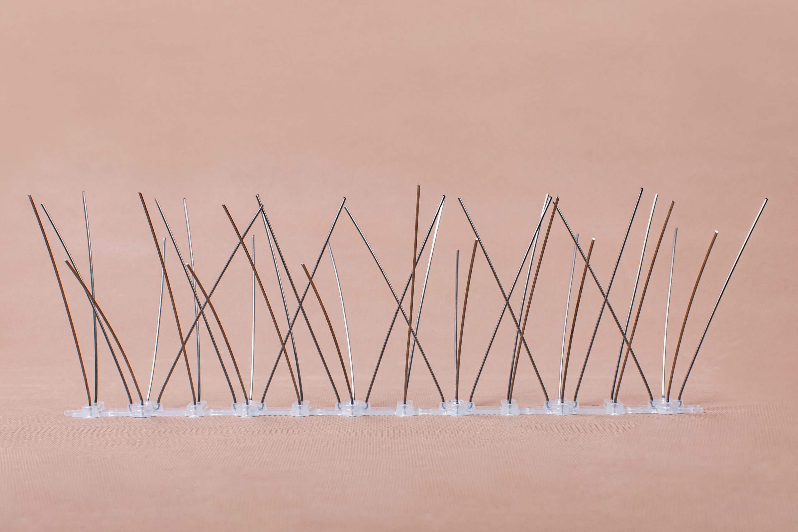 راهنمای جامع خرید و نصب شاخک دفع پرنده راهنمای جامع خرید و نصب شاخک دفع پرنده