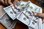 آخرین قیمت دلار و یورو امروز پنجشنبه ۲۵ بهمن ۱۴۰۳ + جدول