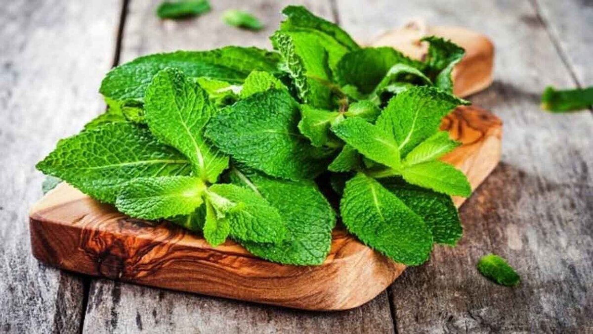 برای رفع حالت تهوع این ۴ خوراکی را بخورید!