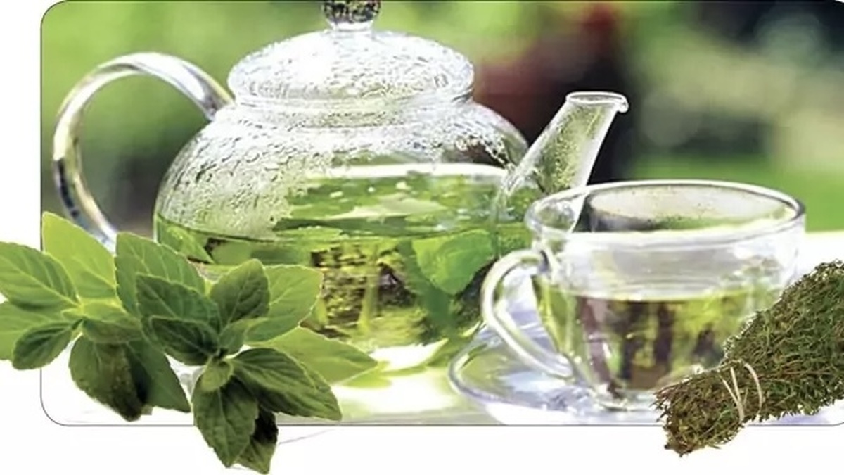 خواص پونه کوهی برای اختلالات گوارشی