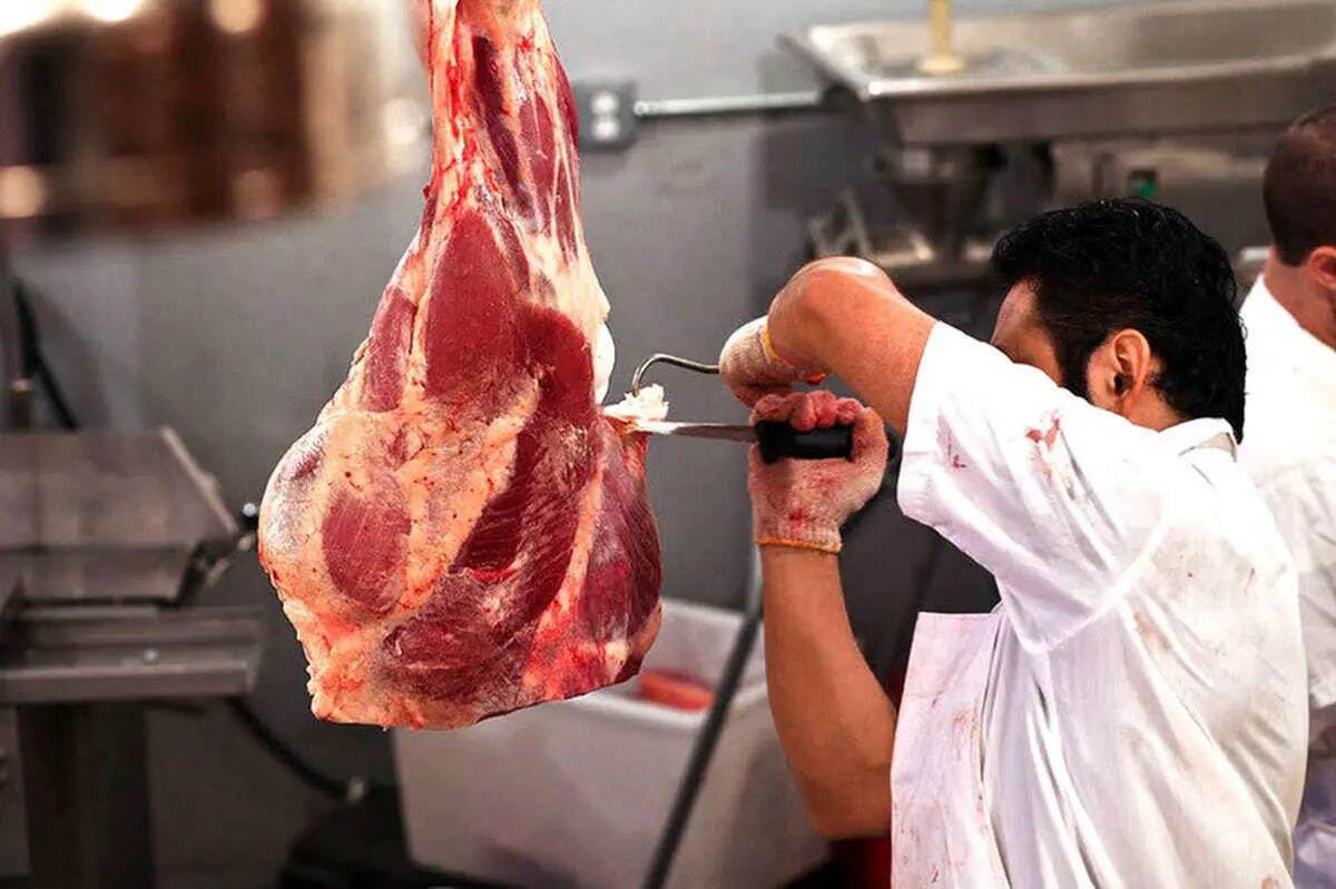 گوشت قرمز چند؟ امروز شنبه ۲۵ اسفند ۱۴۰۳
