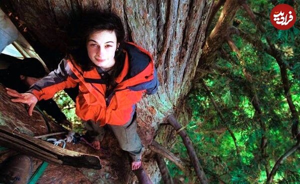 عکس | این دختر ۲ سال روی درختی با ارتفاع ۵۴ متر زندگی کرد!