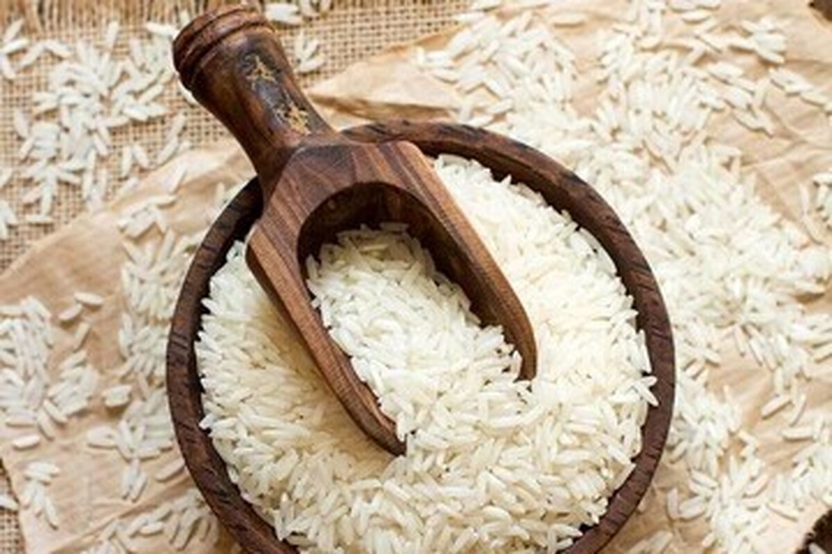 از کجا برنج ۴۸ هزارتومانی بخریم؟