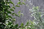 بارش پر قدرت باران در این استان‌ها