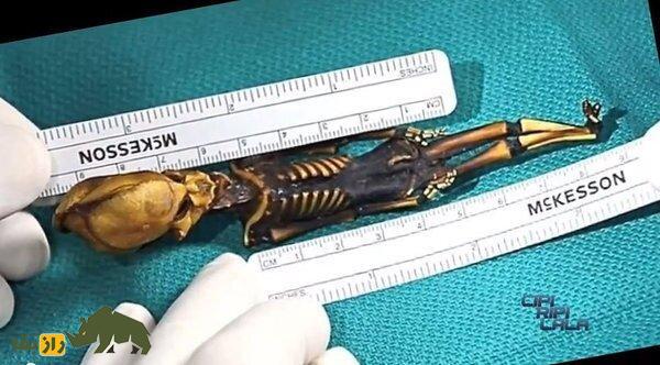 مومیایی عجیب الخلقه آتاکاما مرموزترین معمای جهان شد | اسکلت ترسناک ۱۵ سانتیمتری آتا مومیایی عجیب الخلقه آتاکاما مرموزترین معمای جهان شد | اسکلت ترسناک ۱۵ سانتیمتری آتا