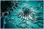 قوی‌ترین سلول‌های ایمنی قاتل سرطان با این مدل شناسایی می‌شوند
