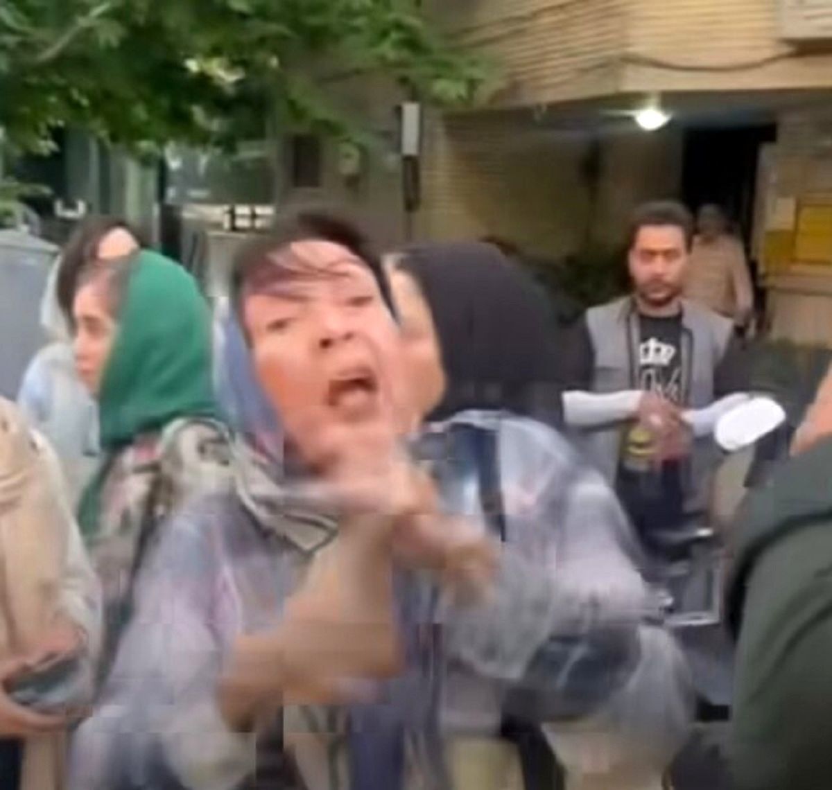 حواشی ماجرای درگیری یکی از بازیگران زن با مامور پلیس | پلیس اطلاعیه داد