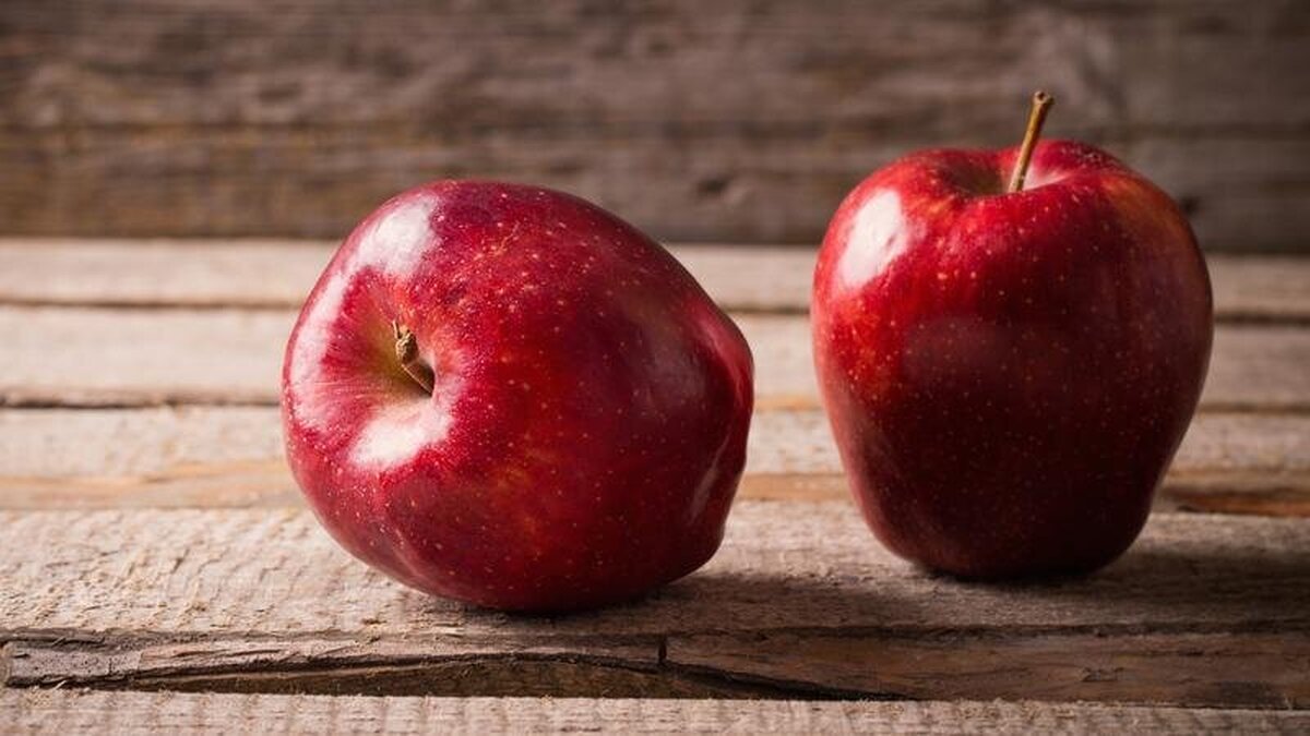 معرفی ۹ ماده غذایی برای داشتن یک روده سالم