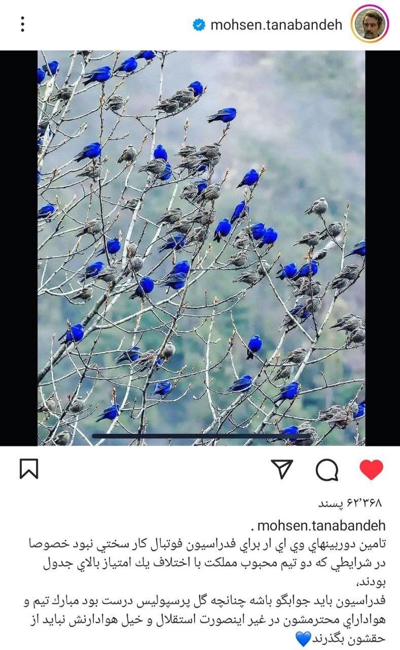 عکس | استوری اعتراضی محسن تنابنده بعد از قهرمان نشدن استقلال! عکس | استوری اعتراضی محسن تنابنده بعد از قهرمان نشدن استقلال!