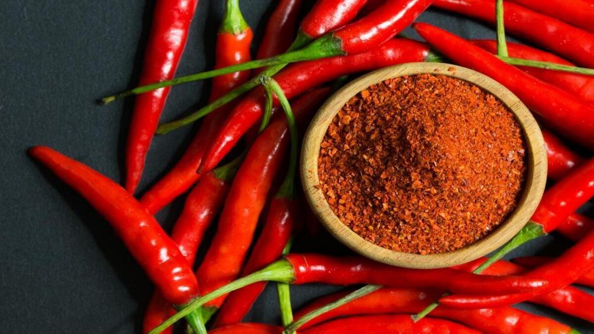 فلفل چیلی چاقی می‌آورد