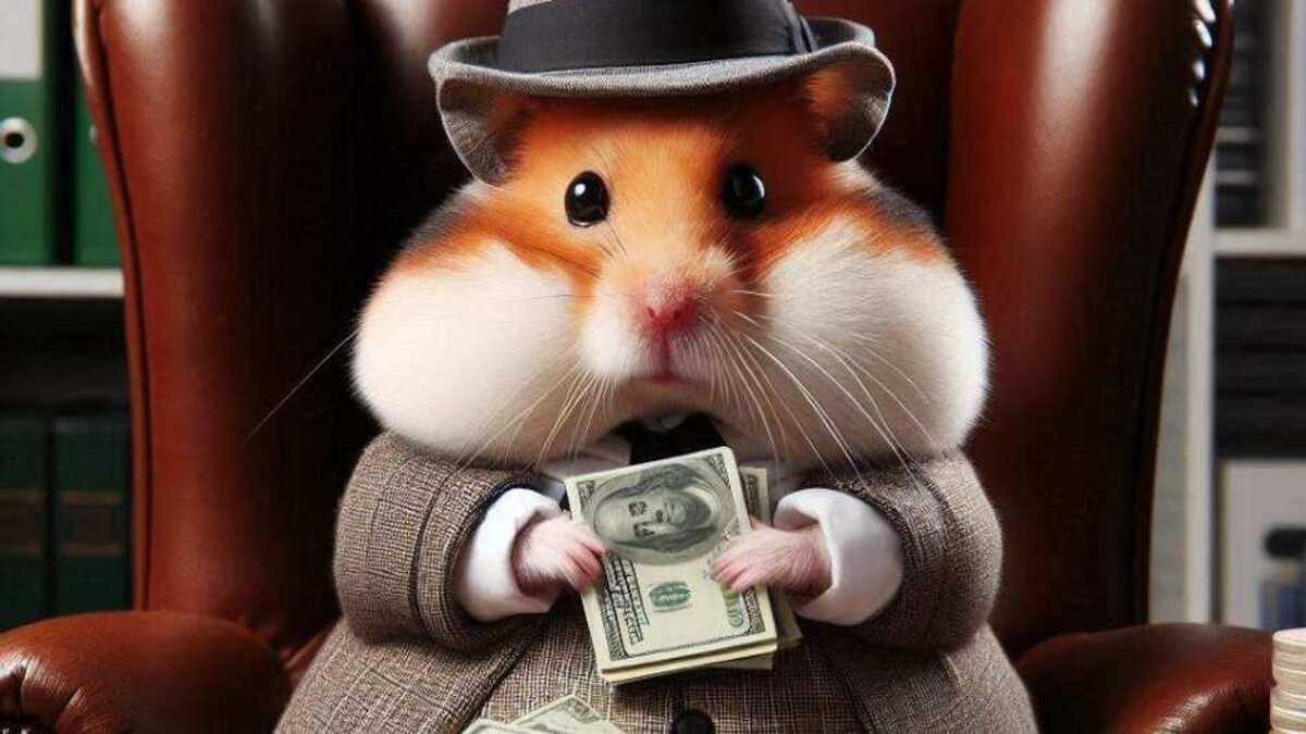 خبر مهم | قیمت همستر کامبت مشخص شد