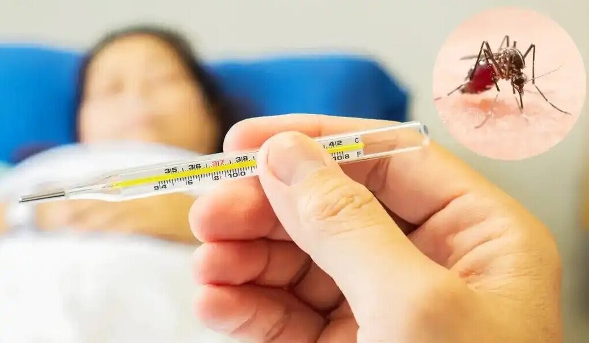 تب دانگی چه علائمی دارد؟ | راه‌های پیشگیری آن را بشناسید!