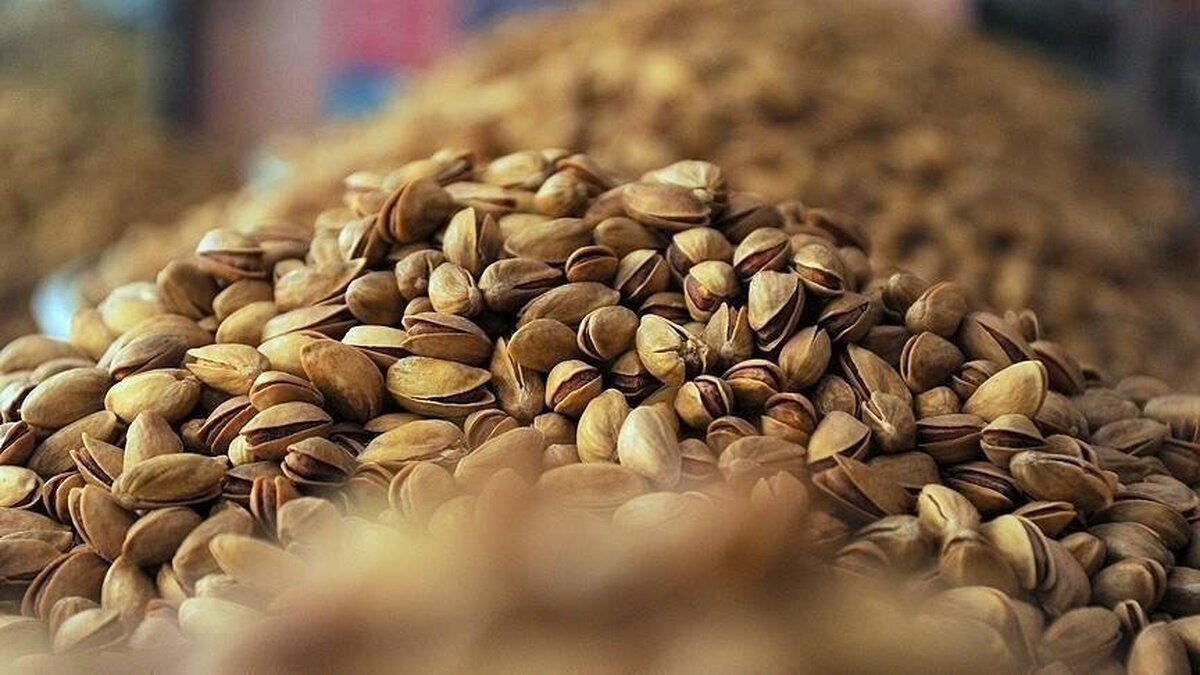 آمار صادرات پسته ایران به اروپا در سه ماه اول سال 2024