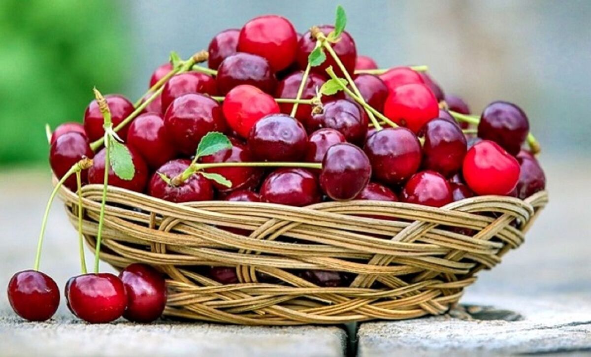 این افراد هرگز نباید آلبالو بخورند!