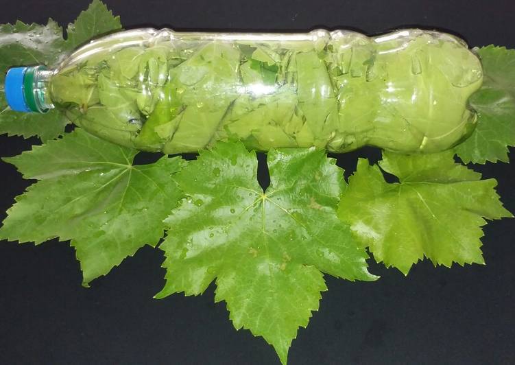 بهترین روش برای نگهداری طولانی مدت برگ مو بهترین روش برای نگهداری طولانی مدت برگ مو