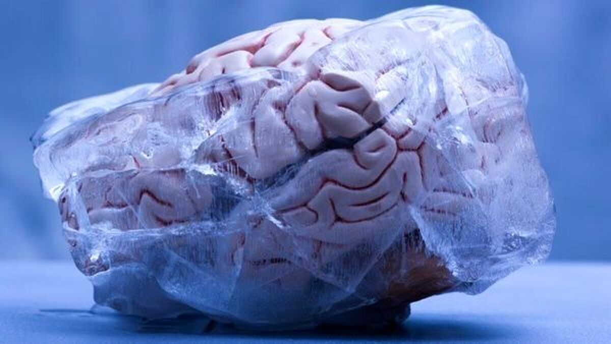 برای اینکه مغز خوب کار کند این نکات را رعایت کنید!