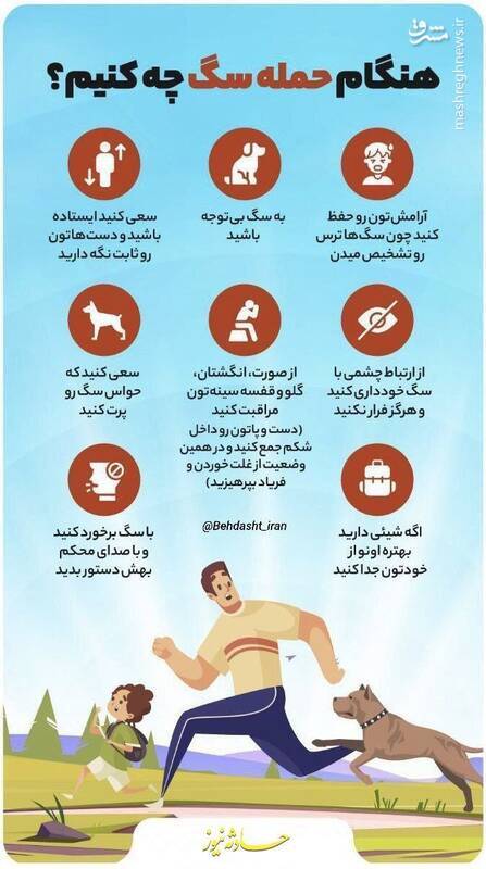 اینفوگرافیک | اگر سگ به شما حمله کرد این کار‌ها را انجام بدهید!