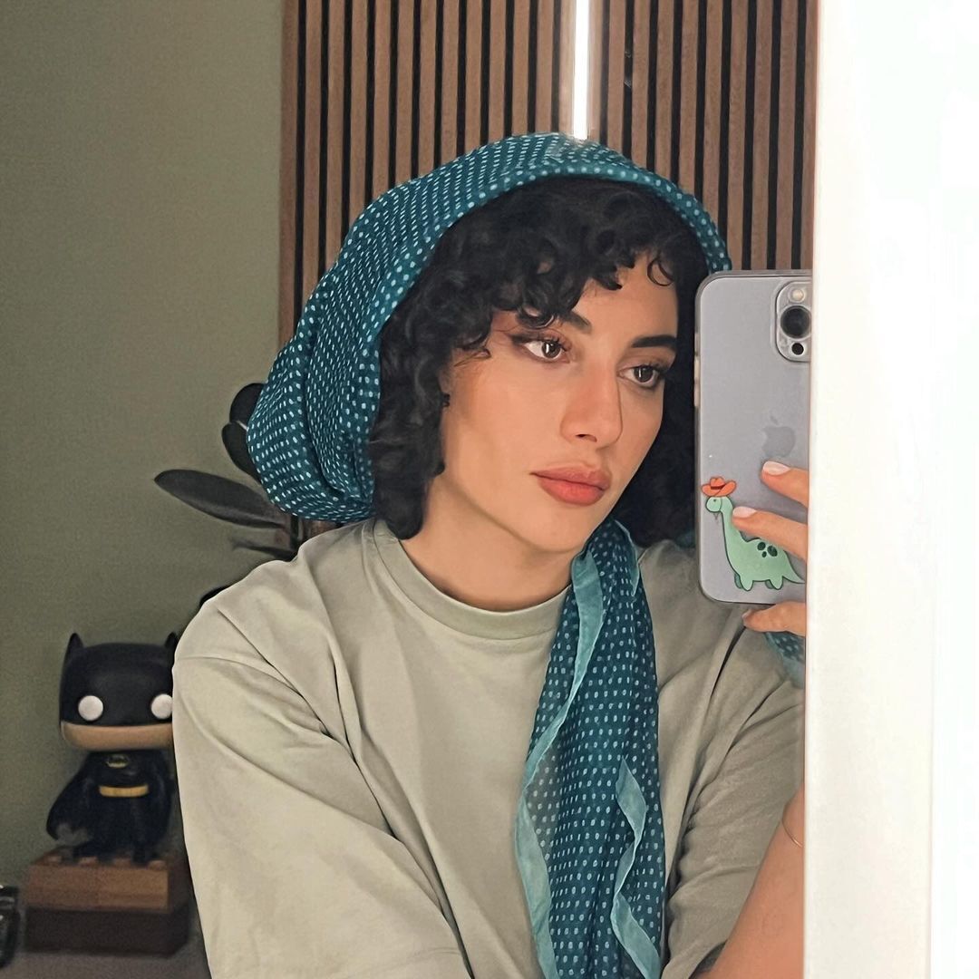 استوری همزمان شروین و ترلان پروانه چه معنایی دارد؟!