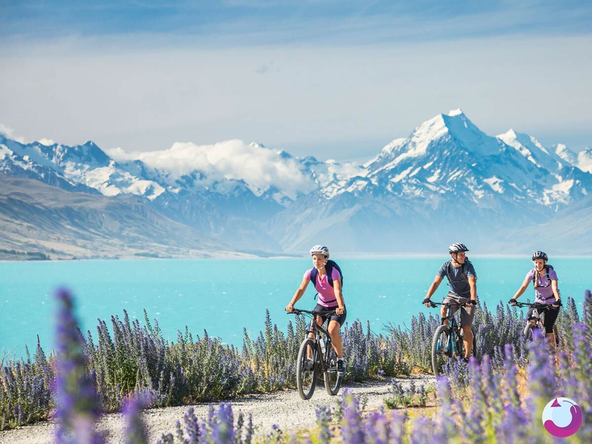 چگونه از تورهای مسافرتی جدید و پرطرفدار با خبر شویم؟ چگونه از تورهای مسافرتی جدید و پرطرفدار با خبر شویم؟